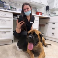 Rise Pet Health Employee Jessica Dobrea's profile photo