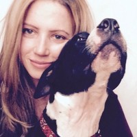 Coastal Veterinary Hospital Employee Tiffany Haegele's profile photo