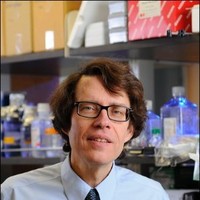 Hospital for Special Surgery Employee Ivashkiv Lionel's profile photo