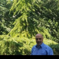 Hertz Employee Alaa Khader's profile photo