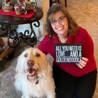 Domestic Abuse Women's Network (DAWN) Employee Diana Carasa's profile photo