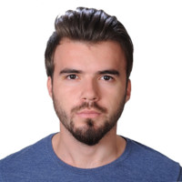 Bulut Civelek Email