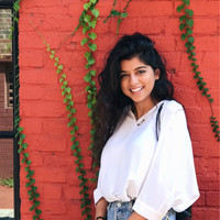 ARTESTAR Employee Sara Moinian's profile photo