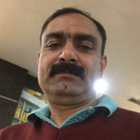Suneel Qasba Email
