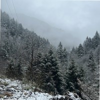 SERING International LLC Employee Shadha Alzubaidi's profile photo