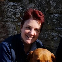 INDEPENDENT VETCARE LIMITED Employee Alison Leake's profile photo