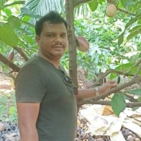 XEL IT Solutions Employee Ravi Kumar's profile photo