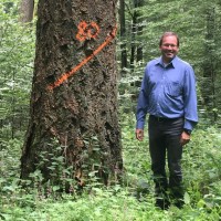Dralle Ltd. Employee Thomas Aukofer's profile photo