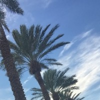 Jackson Hewett Tax Svc Employee Sami Massih's profile photo