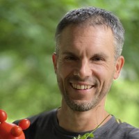 NixOS Employee Patrizio Bekerle's profile photo