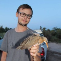 Reptile Junction Employee Daniel Hite's profile photo