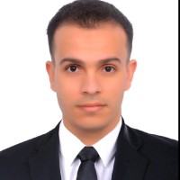 Mohamed Sayed Email