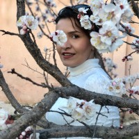 Bidar Group Employee Paria Rad's profile photo