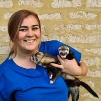 Kassandra Baltgailis Email