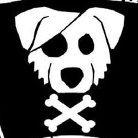 PolyShaper Employee Roberto Calvisi's profile photo