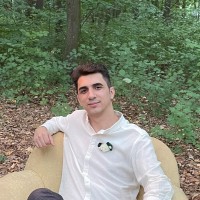 Silviu Lică Email
