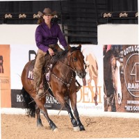 Vaniam Group Employee Sharon Michelucci's profile photo