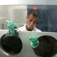454 Life Sciences Employee Michael Boccaccio's profile photo