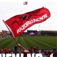 Lori Wilson Email & Phone Number