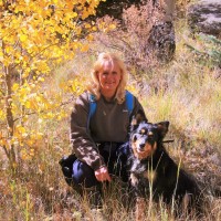 Coldwell Banker Beyond Employee Coleen Hellen's profile photo