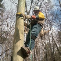 PLH Group, Inc. Employee Paul Rountree's profile photo