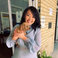 Linh Pham Email