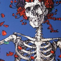 Down To Earth Distributors, Inc. Employee Zeph van Allen's profile photo