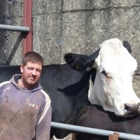 Agri Aware Employee Shay Galvin's profile photo