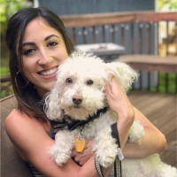 Worth Street Veterinary Center Employee Rebecca Gullickson's profile photo