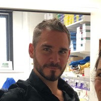 Institut Pasteur Employee Emmanuel Roux's profile photo