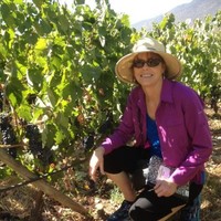 Joan Casey Email & Phone Number