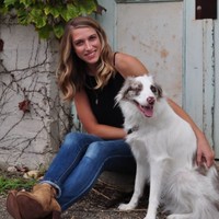 Priority Designs Employee Vicki Breon's profile photo