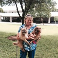 Karen Bird Email & Phone Number