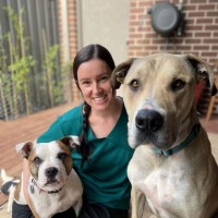 Dogs In Motion Canine Rehabilitation Employee Tara Lanham's profile photo