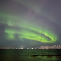 Hoag Neuroscience Institute Employee Neal Hermanowicz's profile photo