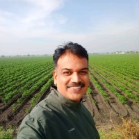 Suraj Dixit Email & Phone Number