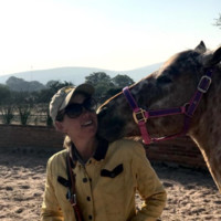 HEART CENTERED HORSEMANSHIP Employee Stacey Carter's profile photo