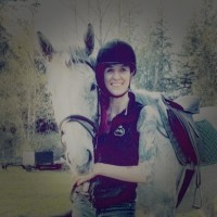 Broadway Animal Hospital Employee Christy Stewart's profile photo