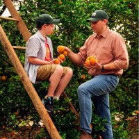 Vita-Pakt Citrus Products Co. Employee Arnaldo Mufalo Jr.'s profile photo