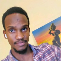 The Haitian Project, Inc. Employee Djim Guerrier's profile photo