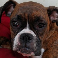 East Side Machine Inc Employee Kristy Hutchins's profile photo