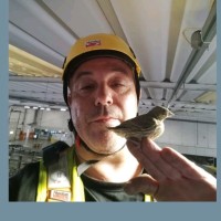 Fabio Cisotto Email