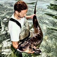 Caviar de Riofrío Employee Ignacio Alba Alejandre's profile photo