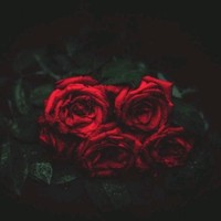 ARGE Employee Jackyy Rosjat's profile photo