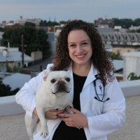 Independent Vets Employee Samantha Cantor's profile photo