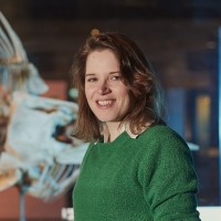 Natural History Museum Employee Kimberley Lewis's profile photo