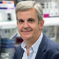 Natac Employee José Quintela's profile photo