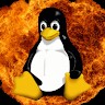 Maikel Wever's profile photo