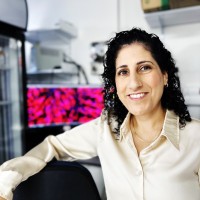 Hadar Sarig Email & Phone Number