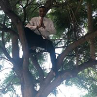 Opcity Employee Jerome Shaw's profile photo